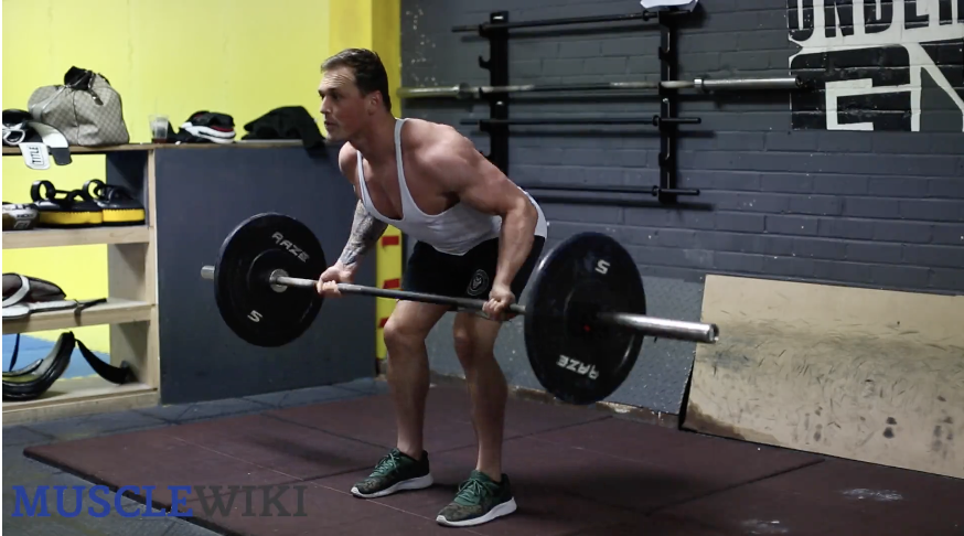 Barbell Rows