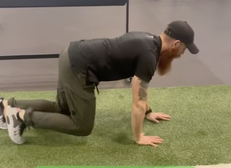 Bear Crawls