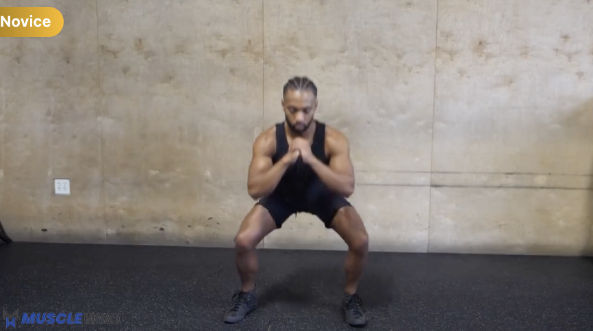 Pulse Squats